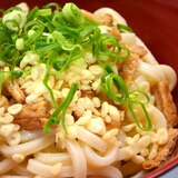 ＜定番シリーズ・レンジ調理＞つるる～ん冷やしうどん